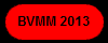 BVMM 2013