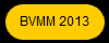 BVMM 2013